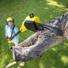 Best Hedge Trimming  in Yoe, PA